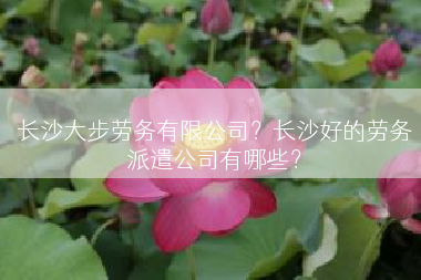 长沙大步劳务有限公司？长沙好的劳务派遣公司有哪些？
