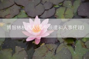 博智林机器人(劳务派遣和人事代理)