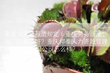 重庆市劳务派遣规定（重庆劳务派遣公司，那家最好？重庆邦泰人力资源管理有限公司怎么样？）