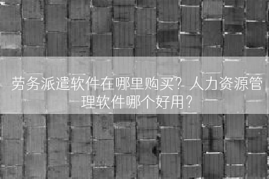 劳务派遣软件在哪里购买？人力资源管理软件哪个好用？