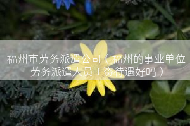 福州市劳务派遣公司（福州的事业单位劳务派遣人员工资待遇好吗）