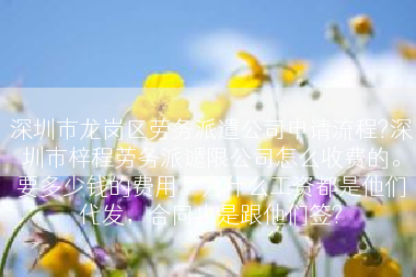 深圳市龙岗区劳务派遣公司申请流程?深圳市梓程劳务派谴限公司怎么收费的。要多少钱的费用。为什么工资都是他们代发，合同也是跟他们签?