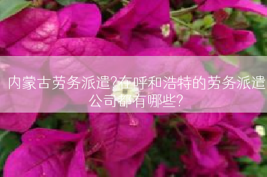 内蒙古劳务派遣?在呼和浩特的劳务派遣公司都有哪些?