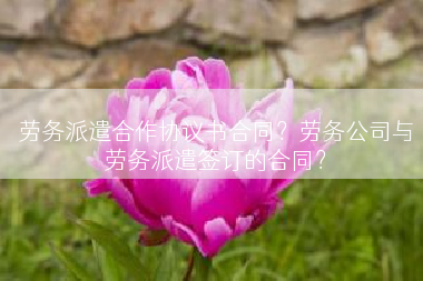 劳务派遣合作协议书合同？劳务公司与劳务派遣签订的合同？