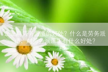 企业用劳务派遣的好处？什么是劳务派遣，对劳务派遣工有什么好处？