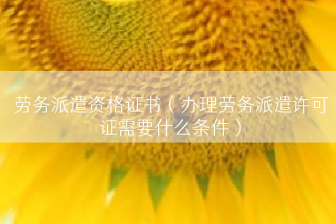 劳务派遣资格证书（办理劳务派遣许可证需要什么条件）