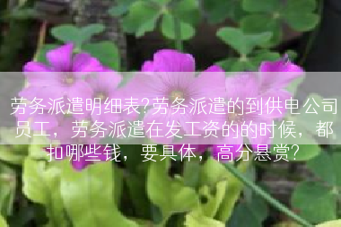 劳务派遣明细表?劳务派遣的到供电公司员工，劳务派遣在发工资的的时候，都扣哪些钱，要具体，高分悬赏?