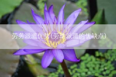 劳务派遣优势(劳动派遣的优缺点)