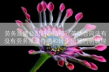 劳务派遣公司法律法规？劳动合同法有没有劳务派遣待遇和转正问题的明确规定？