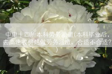 中电十四所本科劳务派遣(本科毕业后，去高速收费站做劳务派遣，合适不合适？)