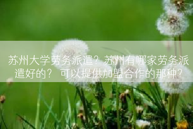 苏州大学劳务派遣？苏州有哪家劳务派遣好的？ 可以提供加盟合作的那种？