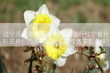 辽宁劳务派遣哪里找(中国银行辽宁省分行五月份的劳务派遣工资待遇等怎么样？有转正机会吗？)