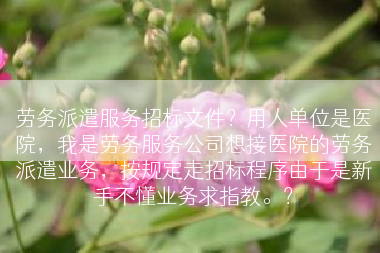 劳务派遣服务招标文件？用人单位是医院，我是劳务服务公司想接医院的劳务派遣业务，按规定走招标程序由于是新手不懂业务求指教。？