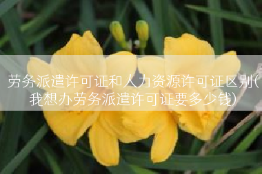 劳务派遣许可证和人力资源许可证区别(我想办劳务派遣许可证要多少钱)