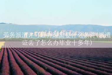 劳务派遣许可证办理需要什么条件(派遣证丢了怎么办毕业十多年)
