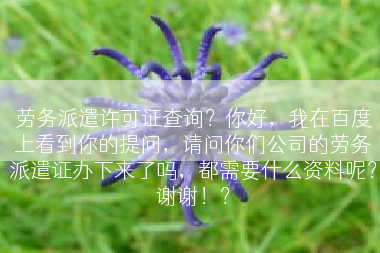 劳务派遣许可证查询？你好，我在百度上看到你的提问，请问你们公司的劳务派遣证办下来了吗，都需要什么资料呢？谢谢！？