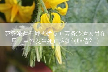 劳务派遣有哪些优点（劳务派遣人员在用工单位发生死亡应如何赔偿？）