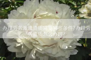 办理劳务派遣资质需要哪些条件?办理劳务资质怎么办理?