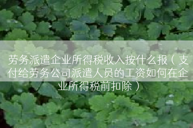 劳务派遣企业所得税收入按什么报（支付给劳务公司派遣人员的工资如何在企业所得税前扣除）