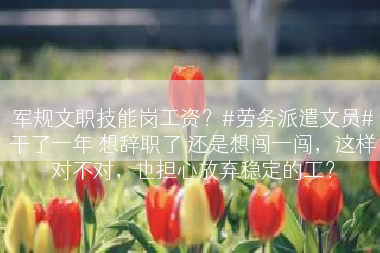 军规文职技能岗工资？#劳务派遣文员#干了一年 想辞职了 还是想闯一闯，这样对不对，也担心放弃稳定的工？