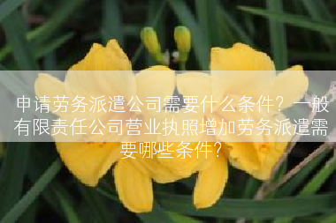 申请劳务派遣公司需要什么条件？一般有限责任公司营业执照增加劳务派遣需要哪些条件？