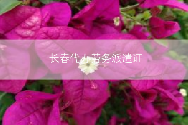 长春代办劳务派遣证