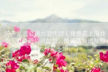 劳务派遣公司加盟代理（我想在上海找个人力资源公司加盟，做劳务派遣加盟费大概是多怕，）