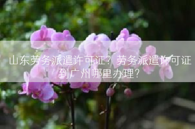 山东劳务派遣许可证？劳务派遣许可证到广州哪里办理？