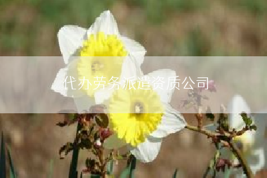 代办劳务派遣资质公司