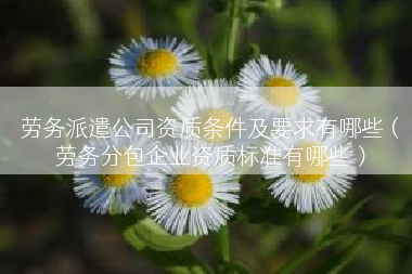 劳务派遣公司资质条件及要求有哪些（劳务分包企业资质标准有哪些）