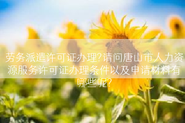 劳务派遣许可证办理?请问唐山市人力资源服务许可证办理条件以及申请材料有哪些呢?