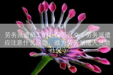劳务派遣员工的社保怎么交（劳务派遣应注意什么问题，谁为劳务派遣人员缴社保）