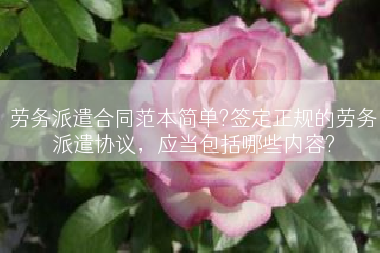 劳务派遣合同范本简单?签定正规的劳务派遣协议，应当包括哪些内容?