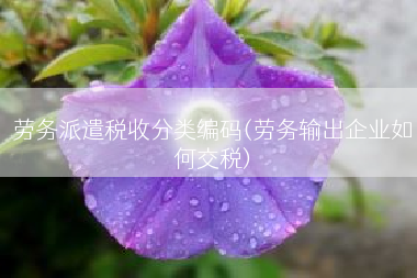 劳务派遣税收分类编码(劳务输出企业如何交税)
