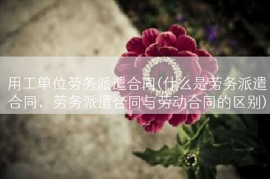 用工单位劳务派遣合同(什么是劳务派遣合同，劳务派遣合同与劳动合同的区别)