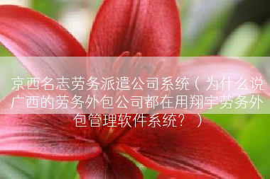京西名志劳务派遣公司系统（为什么说广西的劳务外包公司都在用翔宇劳务外包管理软件系统？）