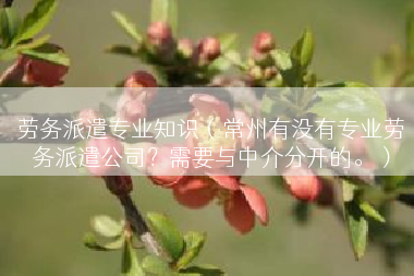 劳务派遣专业知识（常州有没有专业劳务派遣公司？需要与中介分开的。）