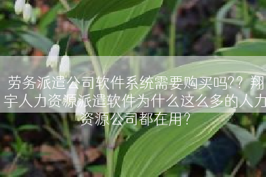 劳务派遣公司软件系统需要购买吗?？翔宇人力资源派遣软件为什么这么多的人力资源公司都在用？