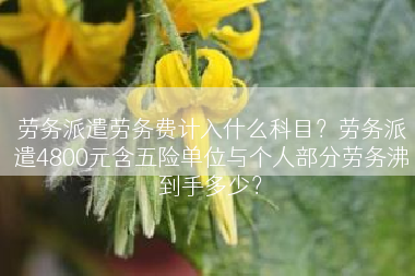 劳务派遣劳务费计入什么科目？劳务派遣4800元含五险单位与个人部分劳务沸到手多少？