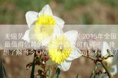 无锡劳务派遣公司排名榜（2015年全国最值得信赖的劳务派遣公司有哪些？我想了解当今口碑比较好的公司都有哪家？）