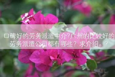 口碑好的劳务派遣中介?广州的比较好的劳务派遣公司都有哪些？求介绍。?