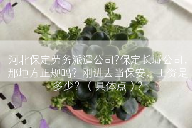 河北保定劳务派遣公司?保定长城公司，那地方正规吗？刚进去当保安，工资是多少？（具体点）?
