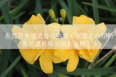 东莞劳务派遣公司名单（东莞市启翔劳务派遣有限公司怎么样？）