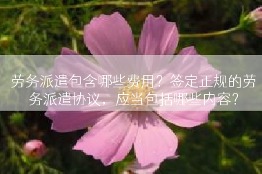 劳务派遣包含哪些费用？签定正规的劳务派遣协议，应当包括哪些内容？