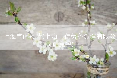 上海宝山疫情(上海正伟劳务派遣有限公司可靠吗)