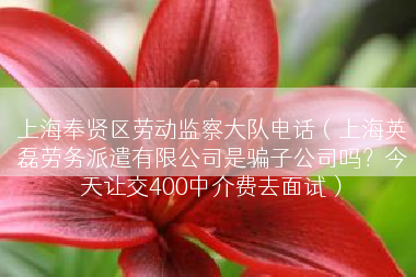 上海奉贤区劳动监察大队电话（上海英磊劳务派遣有限公司是骗子公司吗？今天让交400中介费去面试）