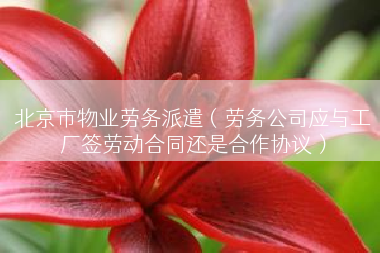 北京市物业劳务派遣（劳务公司应与工厂签劳动合同还是合作协议）