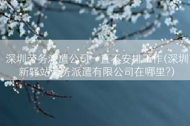 深圳劳务派遣公司一直不安排工作(深圳新驿站劳务派遣有限公司在哪里?)