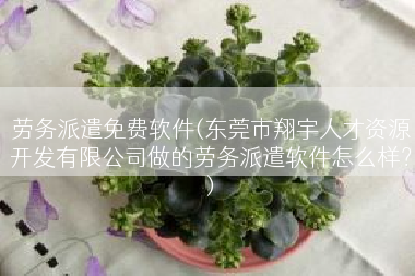 劳务派遣免费软件(东莞市翔宇人才资源开发有限公司做的劳务派遣软件怎么样？)