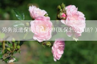 劳务派遣保险由谁承担(医保怎么报销？)